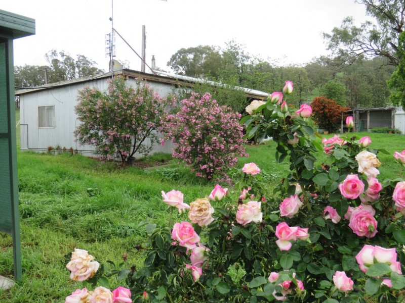 299 Echo Hills Road, Dungowan NSW 2340