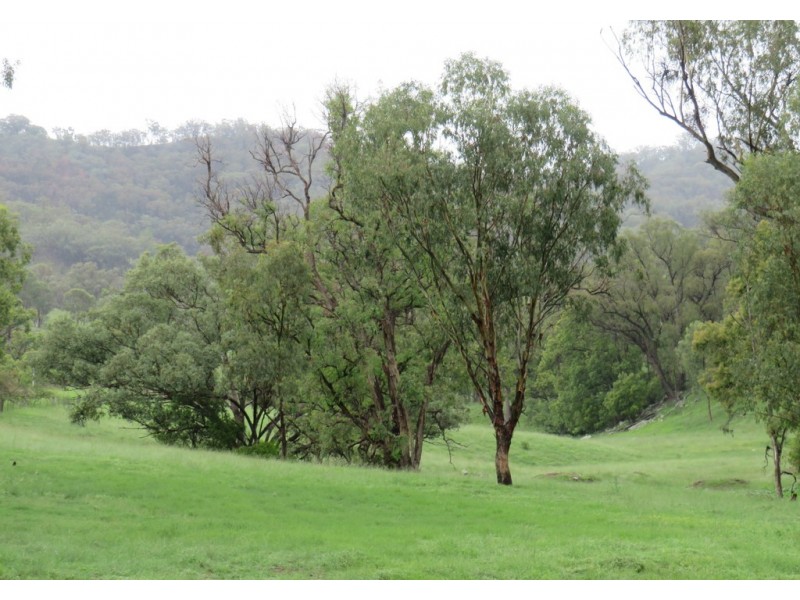 299 Echo Hills Road, Dungowan NSW 2340