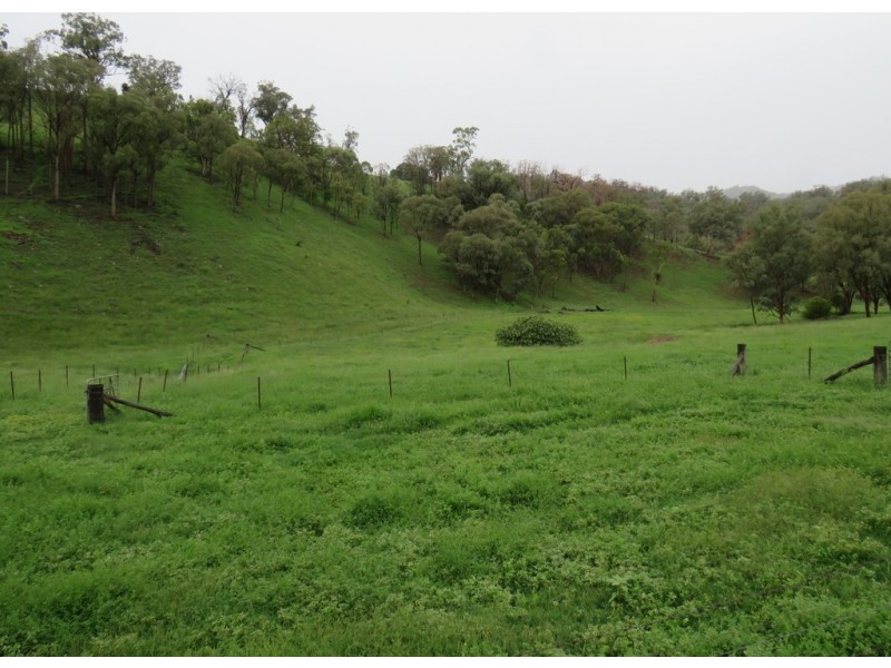 299 Echo Hills Road, Dungowan NSW 2340