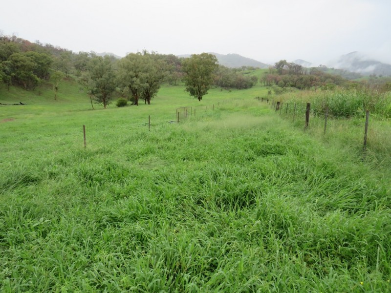 299 Echo Hills Road, Dungowan NSW 2340