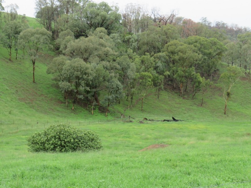 299 Echo Hills Road, Dungowan NSW 2340