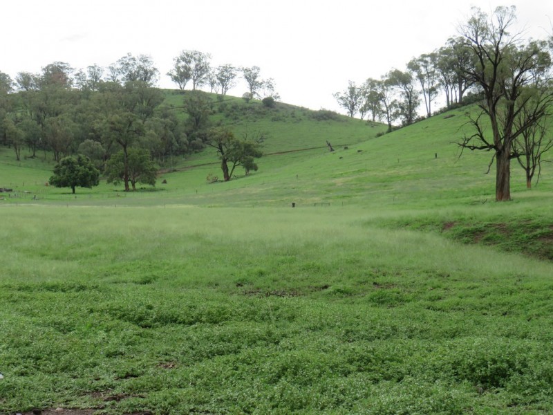 299 Echo Hills Road, Dungowan NSW 2340