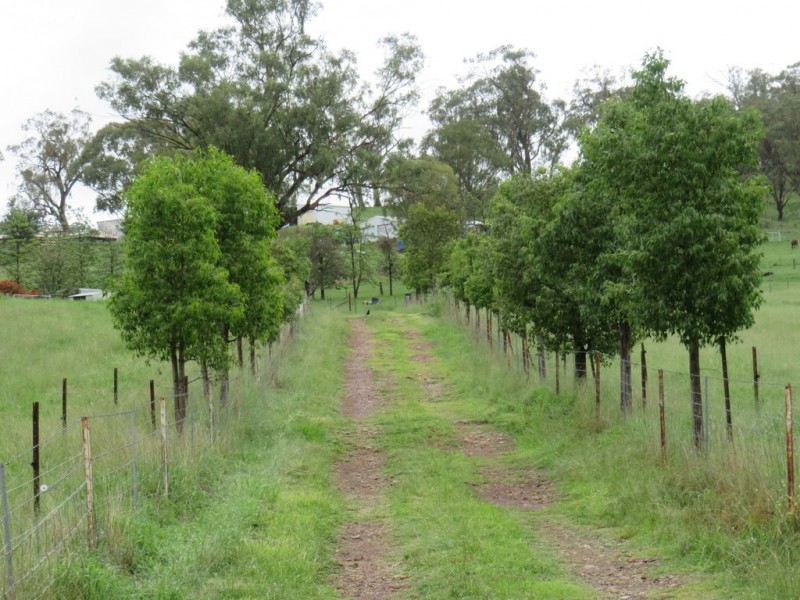 299 Echo Hills Road, Dungowan NSW 2340