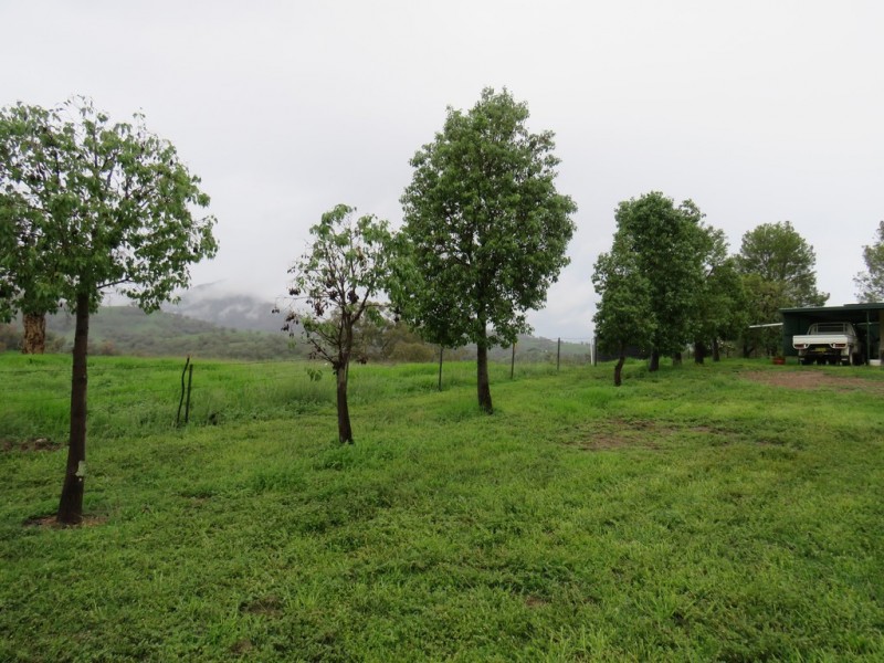 299 Echo Hills Road, Dungowan NSW 2340