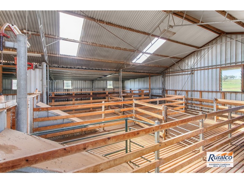 Eden Moor 6842 Black Stump Way, Coolah NSW 2843