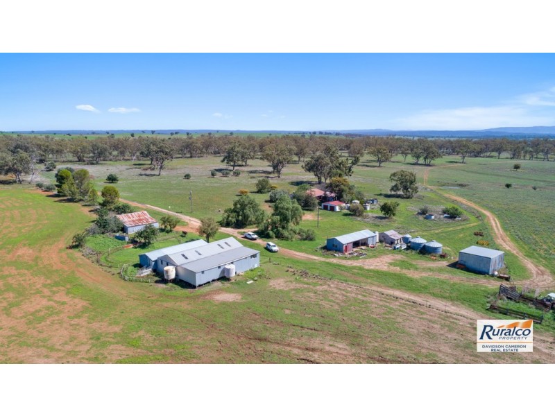 Eden Moor 6842 Black Stump Way, Coolah NSW 2843