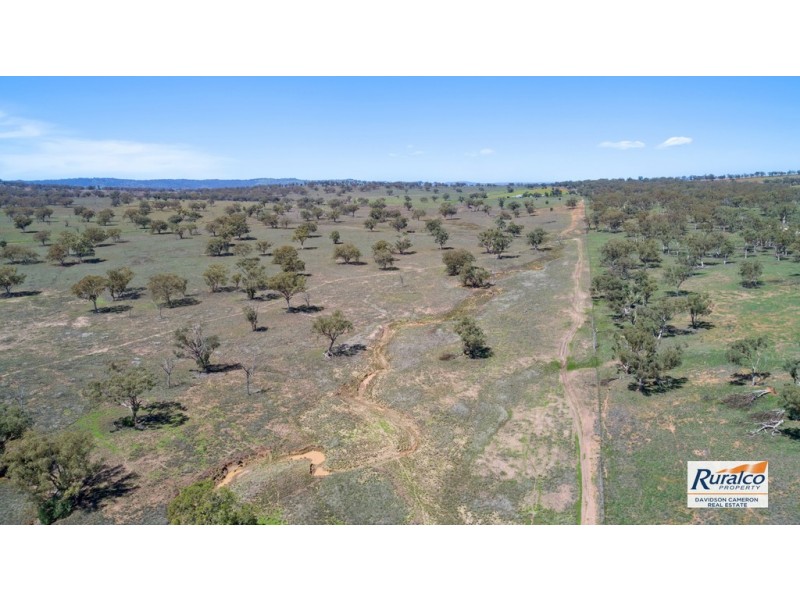 Eden Moor 6842 Black Stump Way, Coolah NSW 2843