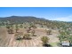 Eden Moor 6842 Black Stump Way, Coolah NSW 2843