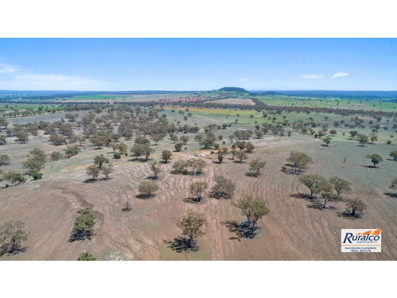 Eden Moor 6842 Black Stump Way, Coolah NSW 2843
