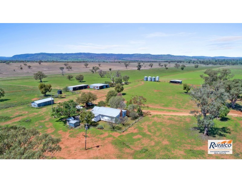Normani 6698 Black Stump Way, Coolah NSW 2843