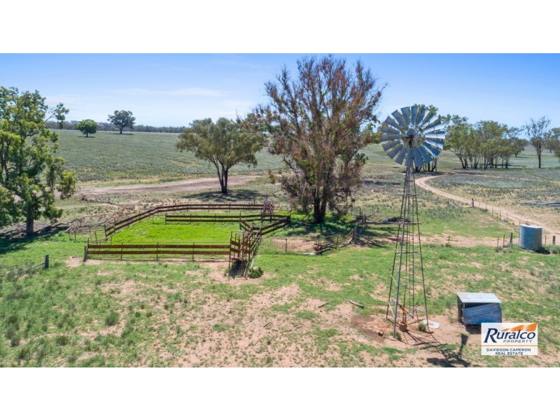 Normani 6698 Black Stump Way, Coolah NSW 2843