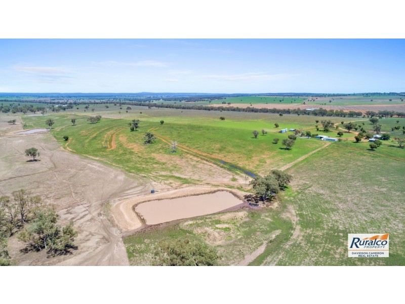 Normani 6698 Black Stump Way, Coolah NSW 2843