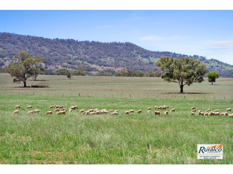 Normani 6698 Black Stump Way, Coolah NSW 2843