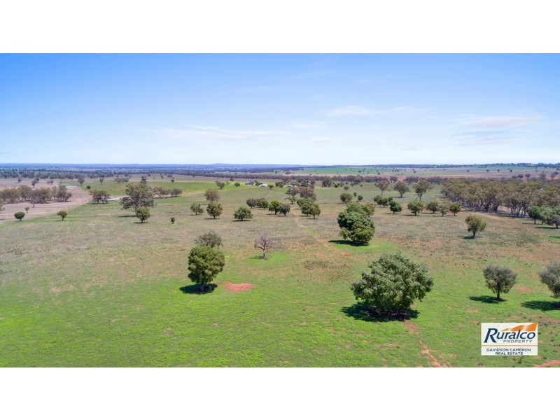 Normani 6698 Black Stump Way, Coolah NSW 2843