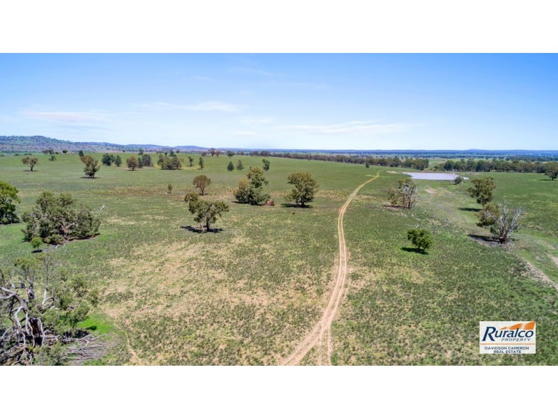 Normani 6698 Black Stump Way, Coolah NSW 2843