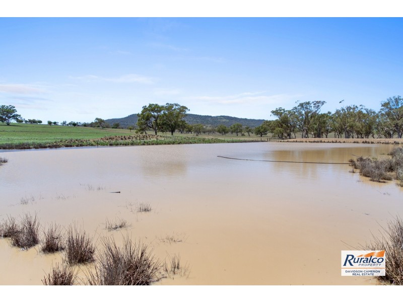 Normani 6698 Black Stump Way, Coolah NSW 2843