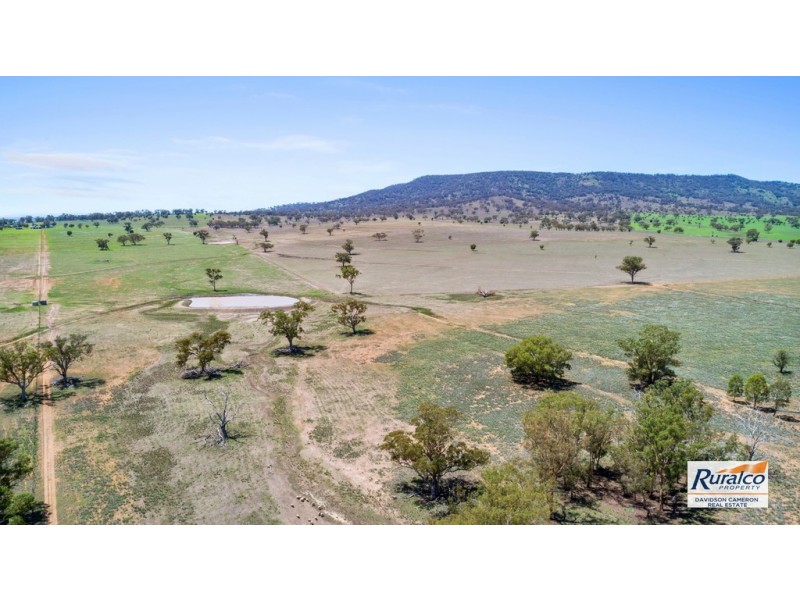 Normani 6698 Black Stump Way, Coolah NSW 2843