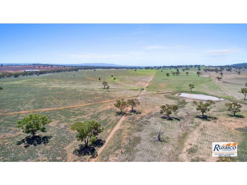 Normani 6698 Black Stump Way, Coolah NSW 2843