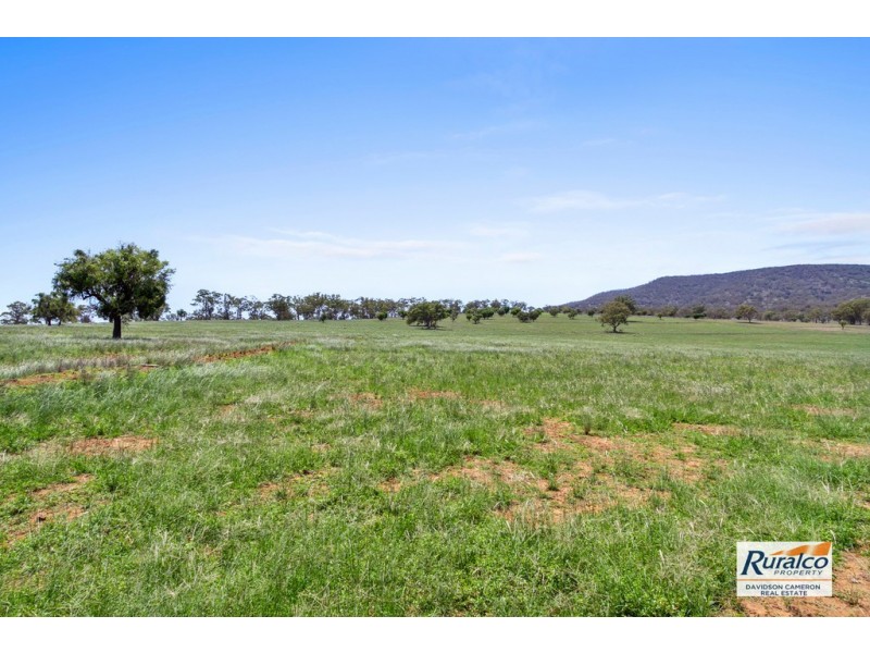 Normani 6698 Black Stump Way, Coolah NSW 2843