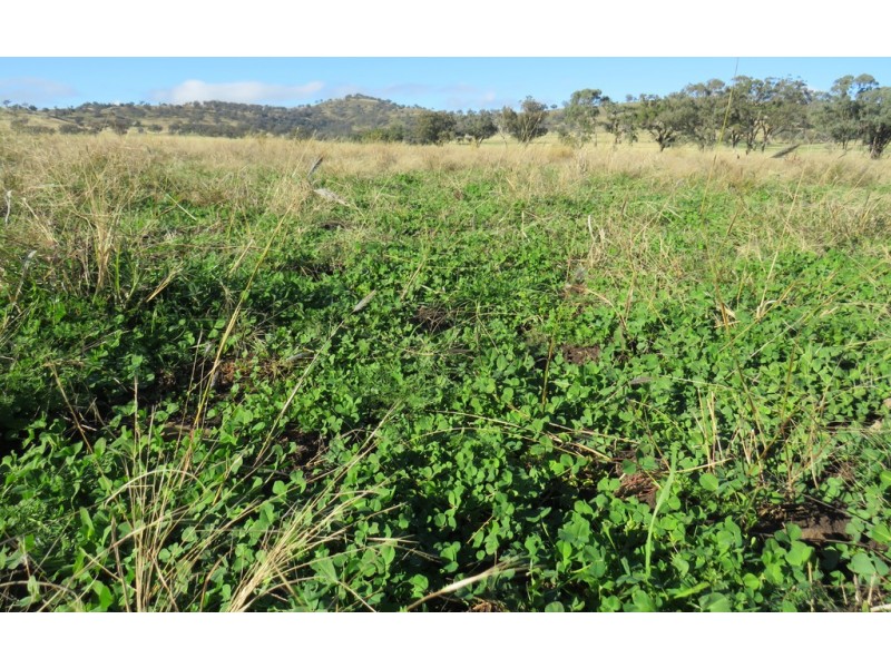 Wattledale 877 Swinging Ridges Road, Warrah Creek NSW 2339