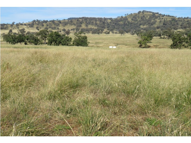 Wattledale 877 Swinging Ridges Road, Warrah Creek NSW 2339