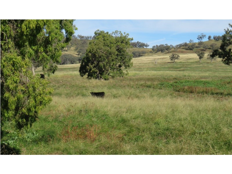Wattledale 877 Swinging Ridges Road, Warrah Creek NSW 2339
