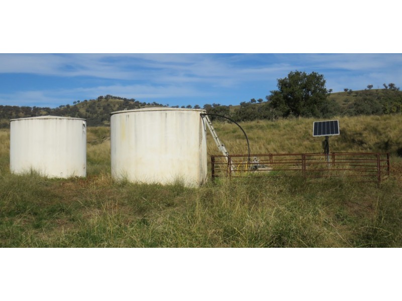 Wattledale 877 Swinging Ridges Road, Warrah Creek NSW 2339