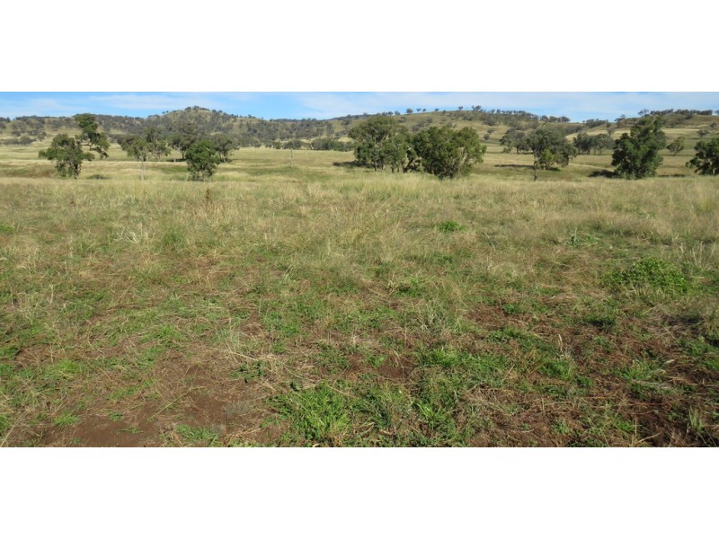 Wattledale 877 Swinging Ridges Road, Warrah Creek NSW 2339