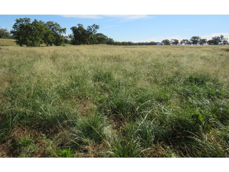 Wattledale 877 Swinging Ridges Road, Warrah Creek NSW 2339