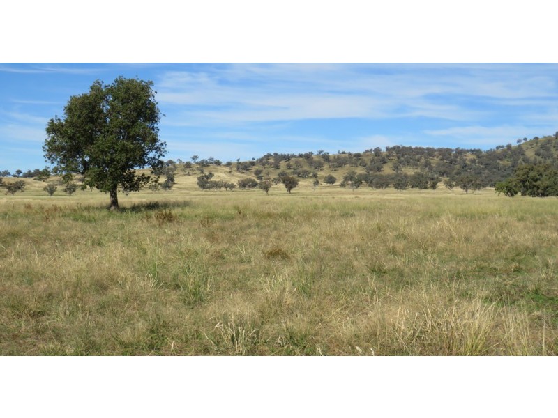 Wattledale 877 Swinging Ridges Road, Warrah Creek NSW 2339