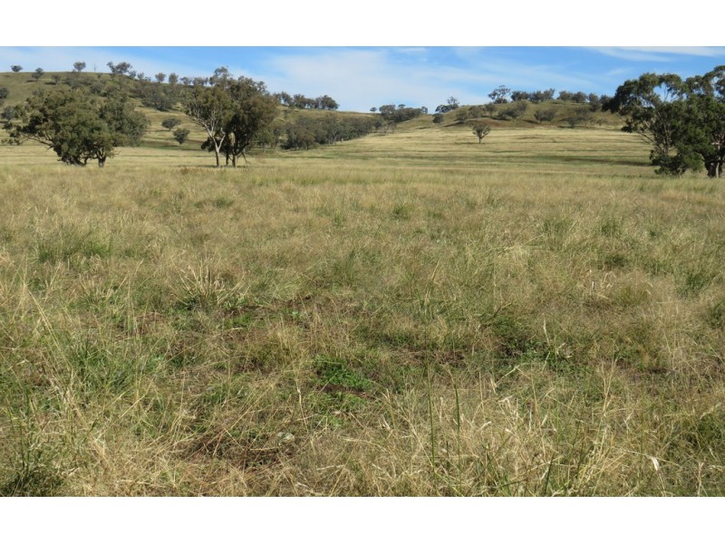 Wattledale 877 Swinging Ridges Road, Warrah Creek NSW 2339