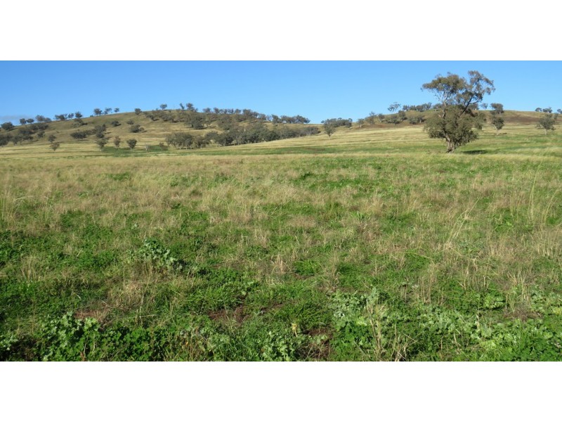 Wattledale 877 Swinging Ridges Road, Warrah Creek NSW 2339