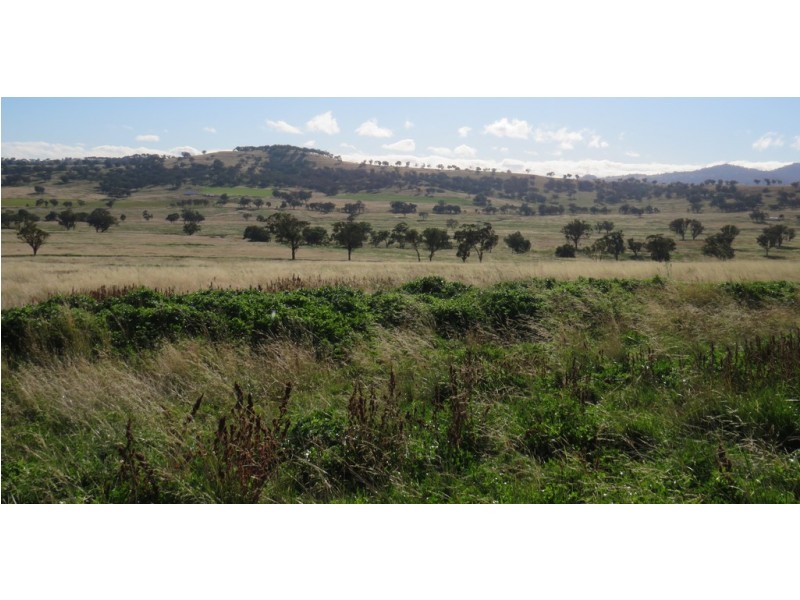 Wattledale 877 Swinging Ridges Road, Warrah Creek NSW 2339