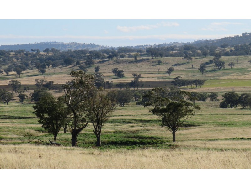 Wattledale 877 Swinging Ridges Road, Warrah Creek NSW 2339