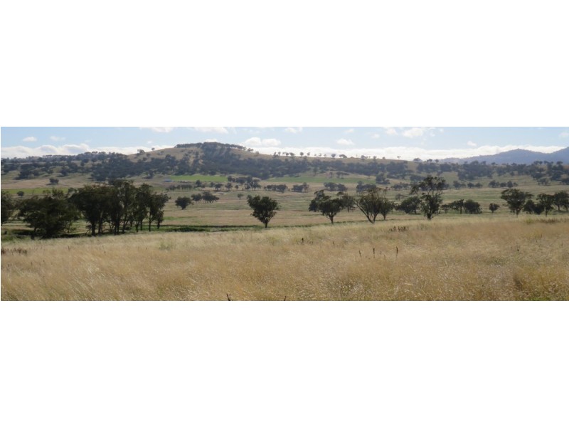 Wattledale 877 Swinging Ridges Road, Warrah Creek NSW 2339