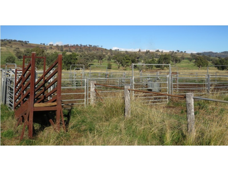 Wattledale 877 Swinging Ridges Road, Warrah Creek NSW 2339