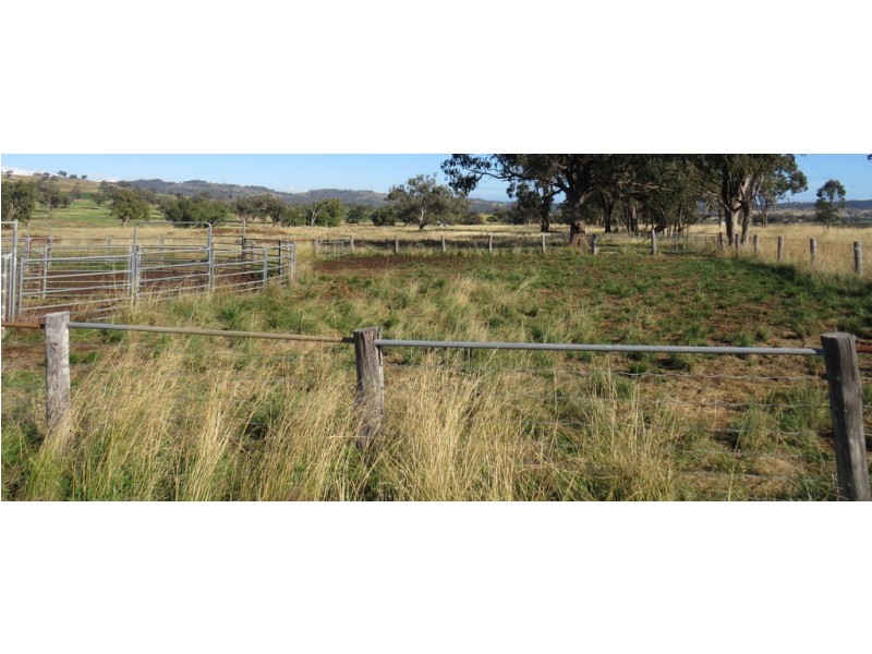 Wattledale 877 Swinging Ridges Road, Warrah Creek NSW 2339