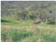 157 Keridene Road, Piallamore NSW 2340