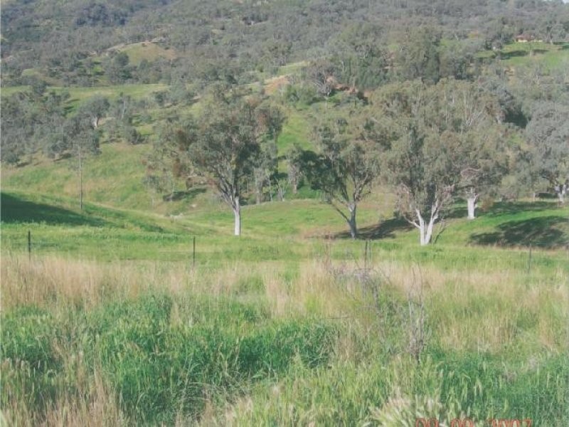 157 Keridene Road, Piallamore NSW 2340