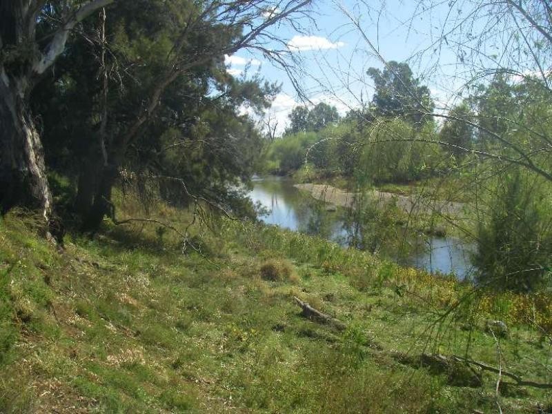 Lot 82 Ski Garden Road, Manilla NSW 2346