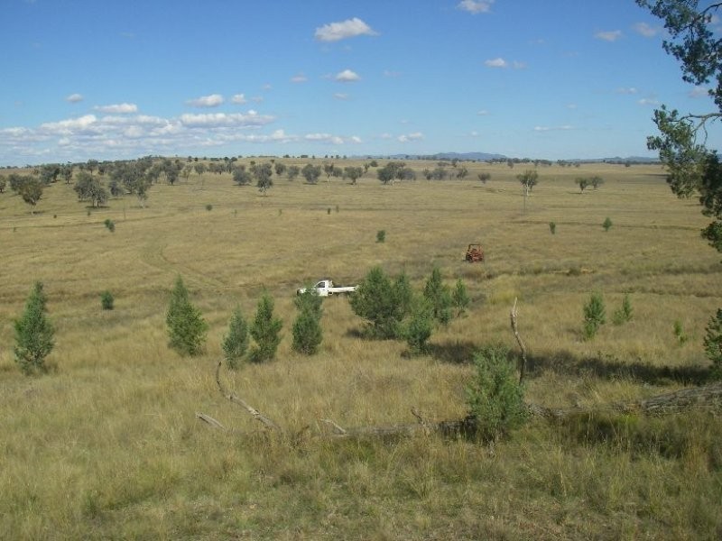 Lot 82 Ski Garden Road, Manilla NSW 2346