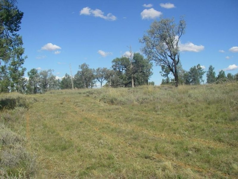 Lot 82 Ski Garden Road, Manilla NSW 2346