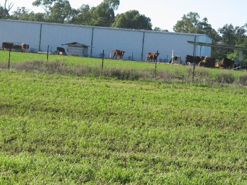 Lot 2 Arthur Street, Manilla NSW 2346
