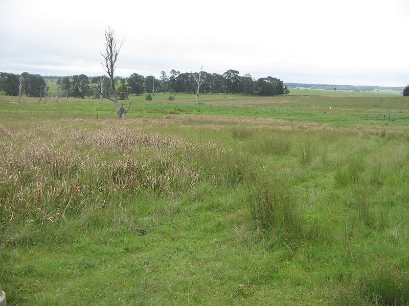 152 Traceys Road, Kentucky NSW 2354