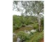 7574 Thunderbolts Way, Nowendoc NSW 2354