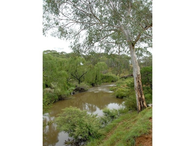 7574 Thunderbolts Way, Nowendoc NSW 2354