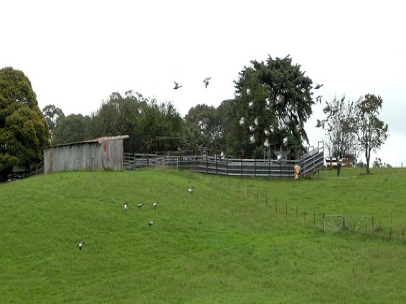 7574 Thunderbolts Way, Nowendoc NSW 2354