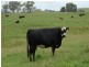 7574 Thunderbolts Way, Tamworth NSW 2340