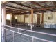 Tamworth NSW 2340