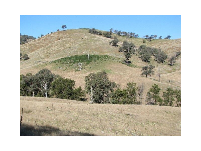 Tamworth NSW 2340